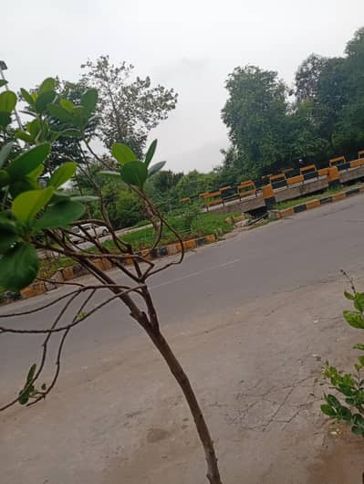 alto automatic rent pa chai hai indrive pa use k liy
