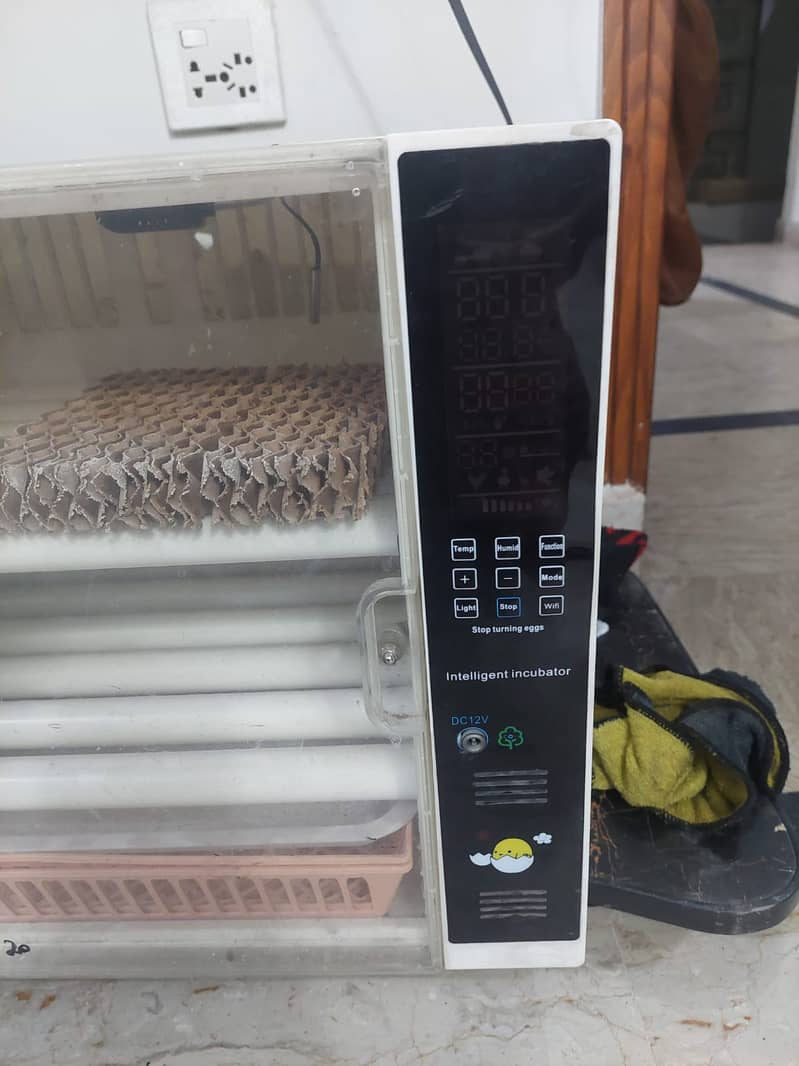 Auto Incubators 1