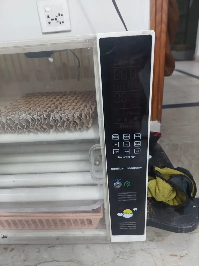Auto Incubators — photo 2