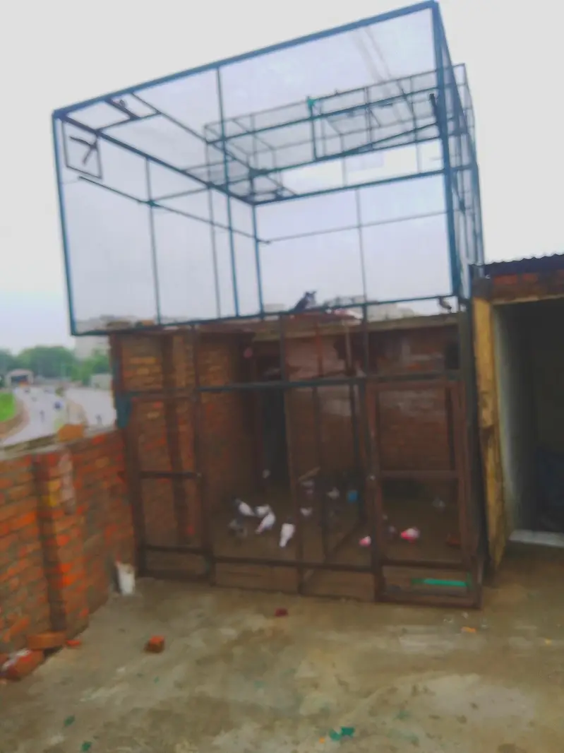 Pigeons Redimate cage — photo 4