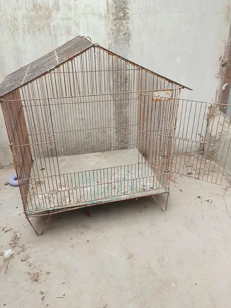 birds cage with finch — photo 4
