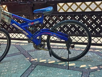Gears blue phoenix cycle