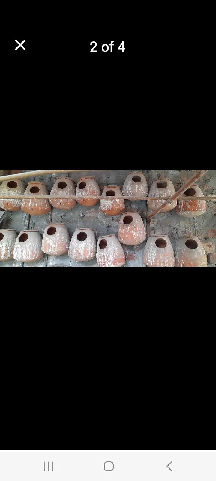 Bird matki for sale — photo 2