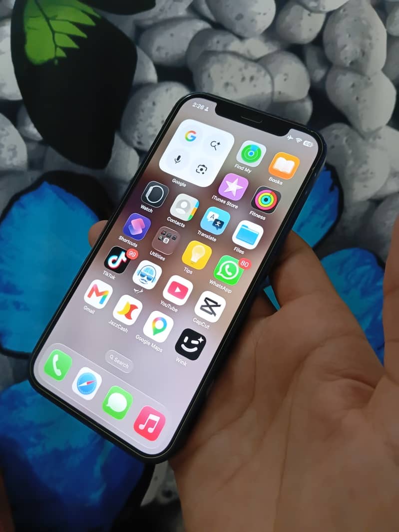 Apple iPhone 12 4