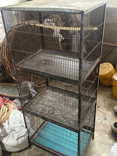 cage | Pinjra | Iron Cage | Steel Cage |Wooden Cage | Birds Cage
