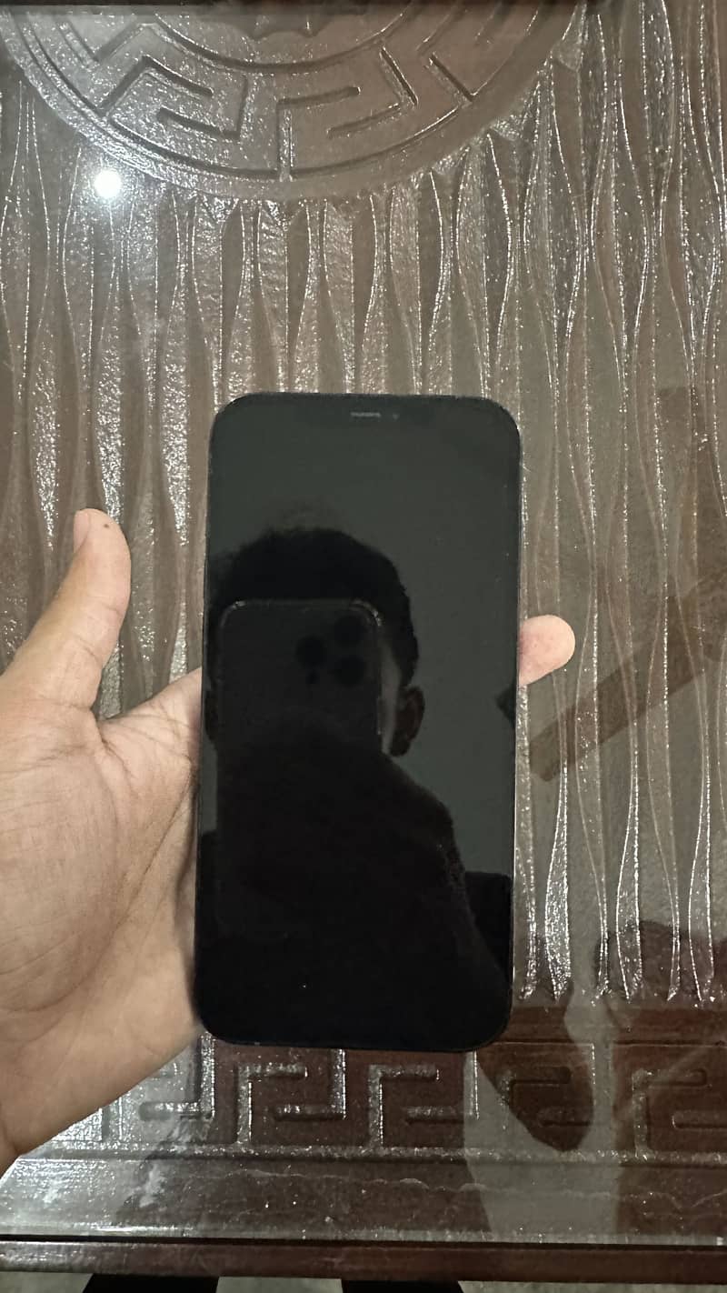 iPhone 12 Pro Max 3
