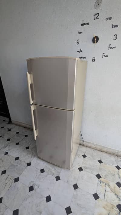 hair fridge for sale