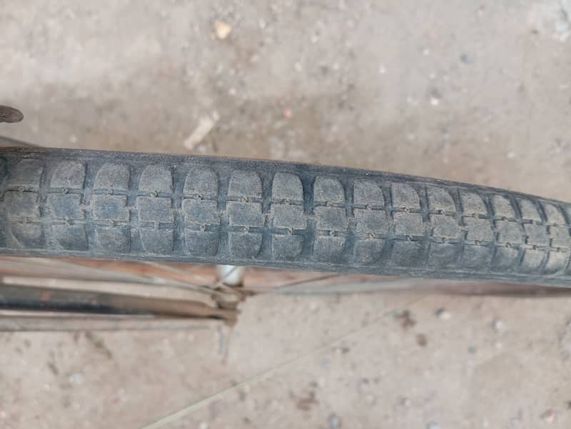 Sohrab cycle 6