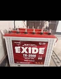 Exide Tall Tubular Batteries