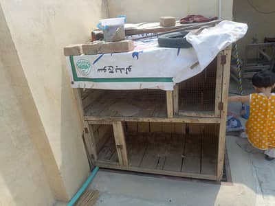 Pinjry for sale