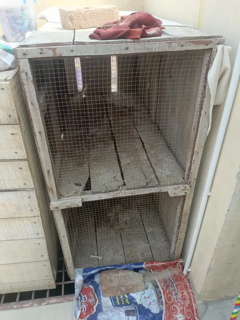 Pinjry for sale — photo 2