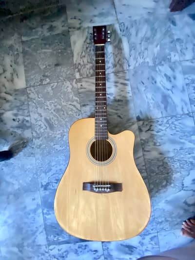 Accoustic Guitar