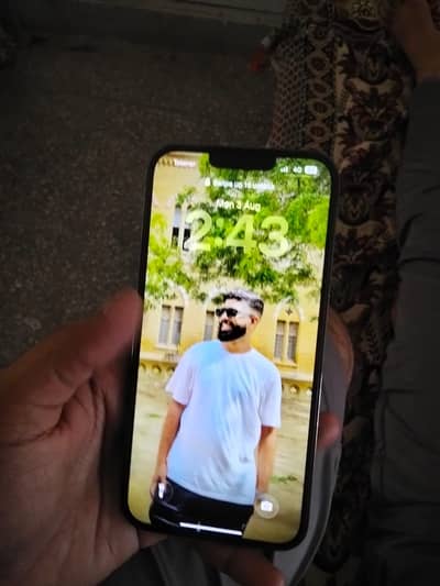 Apple iPhone 13 Pro Max