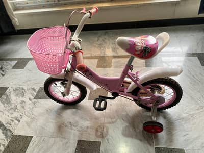 Kids' Bicycle for Girls – "Shengdi" 14" – Excellent Condition