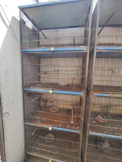 cages