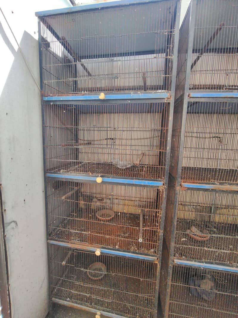 cages 0