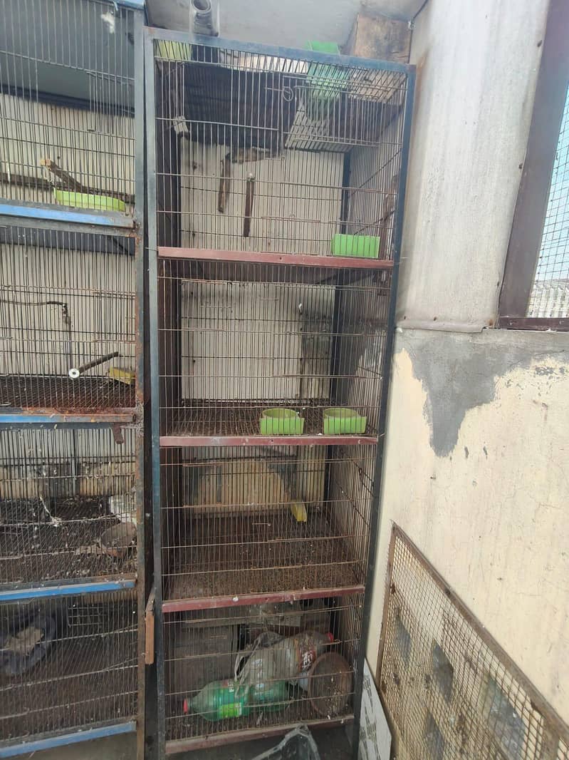 cages 2