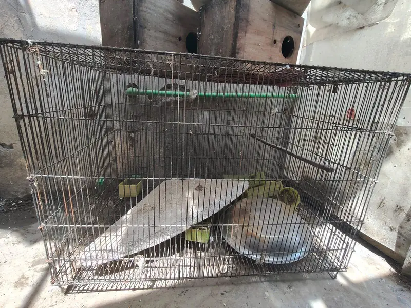 cages — photo 4