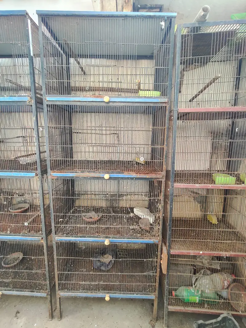 cages — photo 5