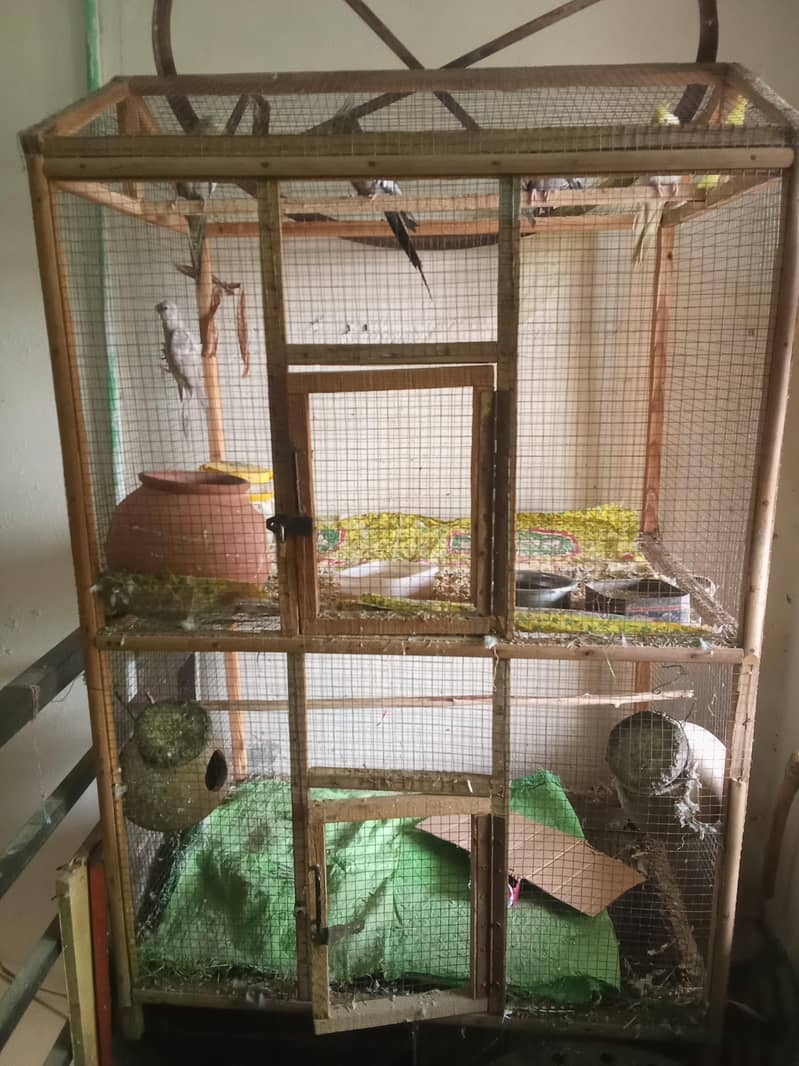Large Size Cage 1