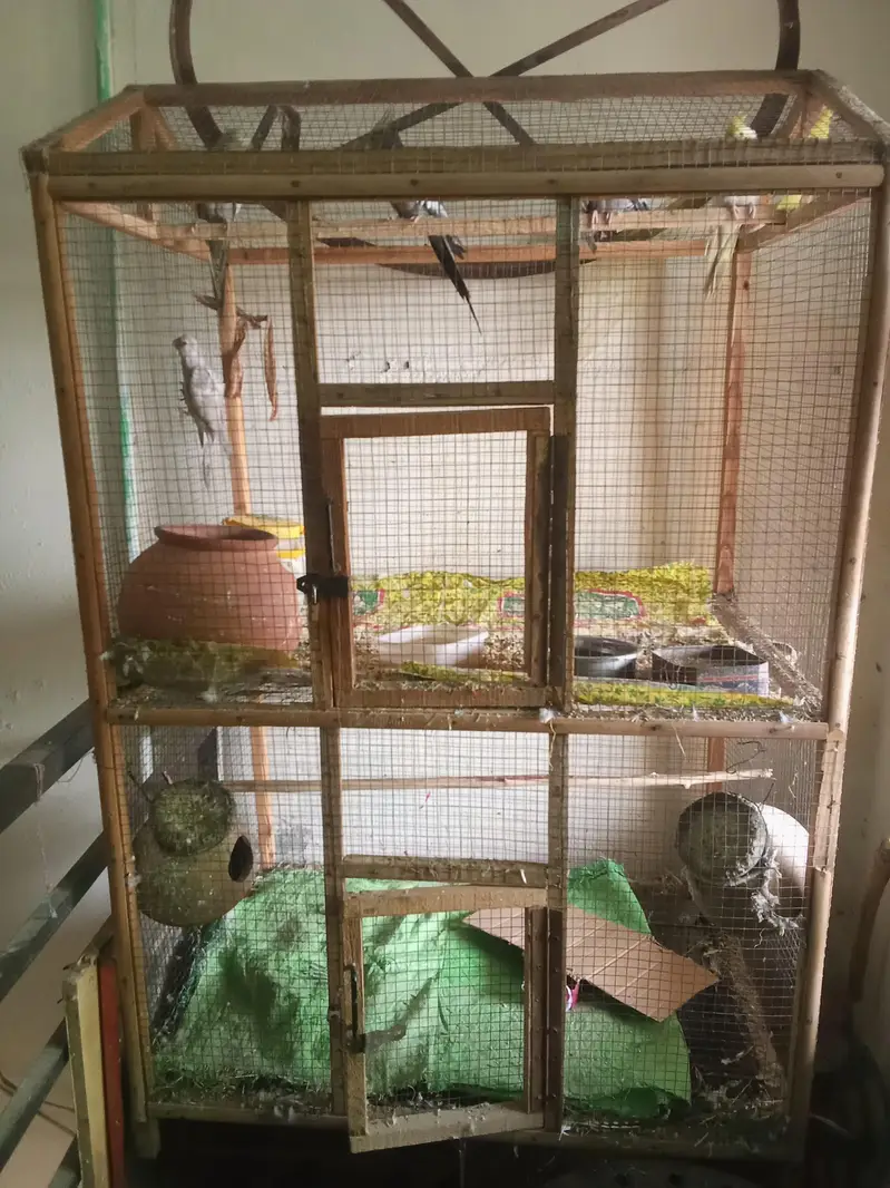 Large Size Cage — photo 2