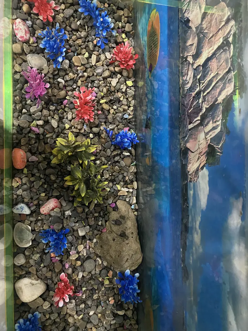 Fish Aquarium — photo 4