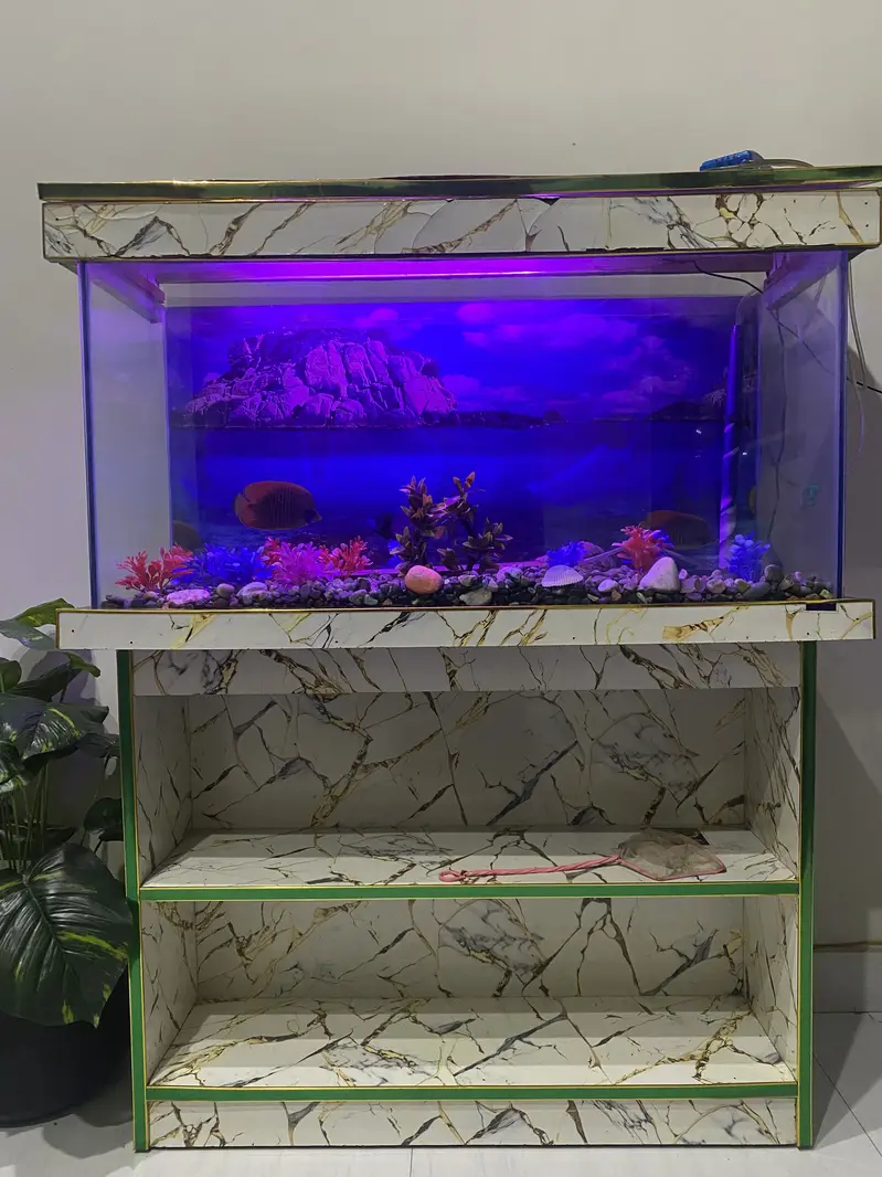 Fish Aquarium — photo 5