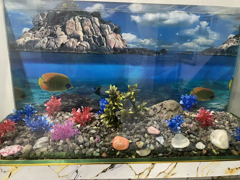 Fish Aquarium — photo 6