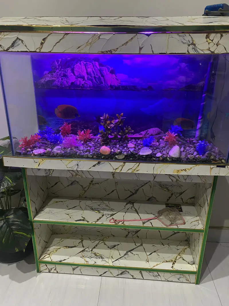 Fish Aquarium — photo 7