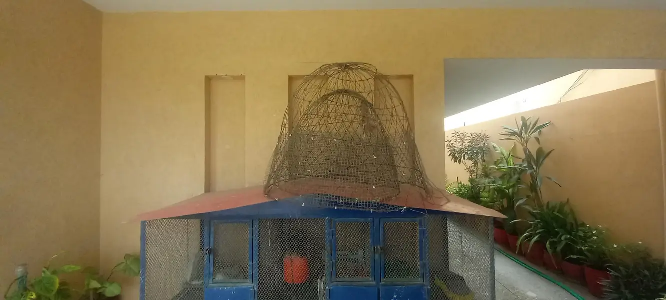 Big Size Iron Bird Cage for Sale — photo 3