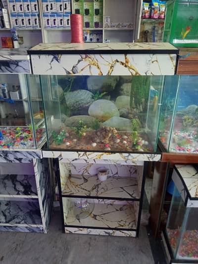2 FEET AQUARIUM WITH COMPLETE SETUP