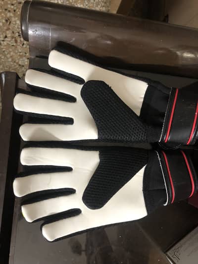 Goalkeeper Gloves