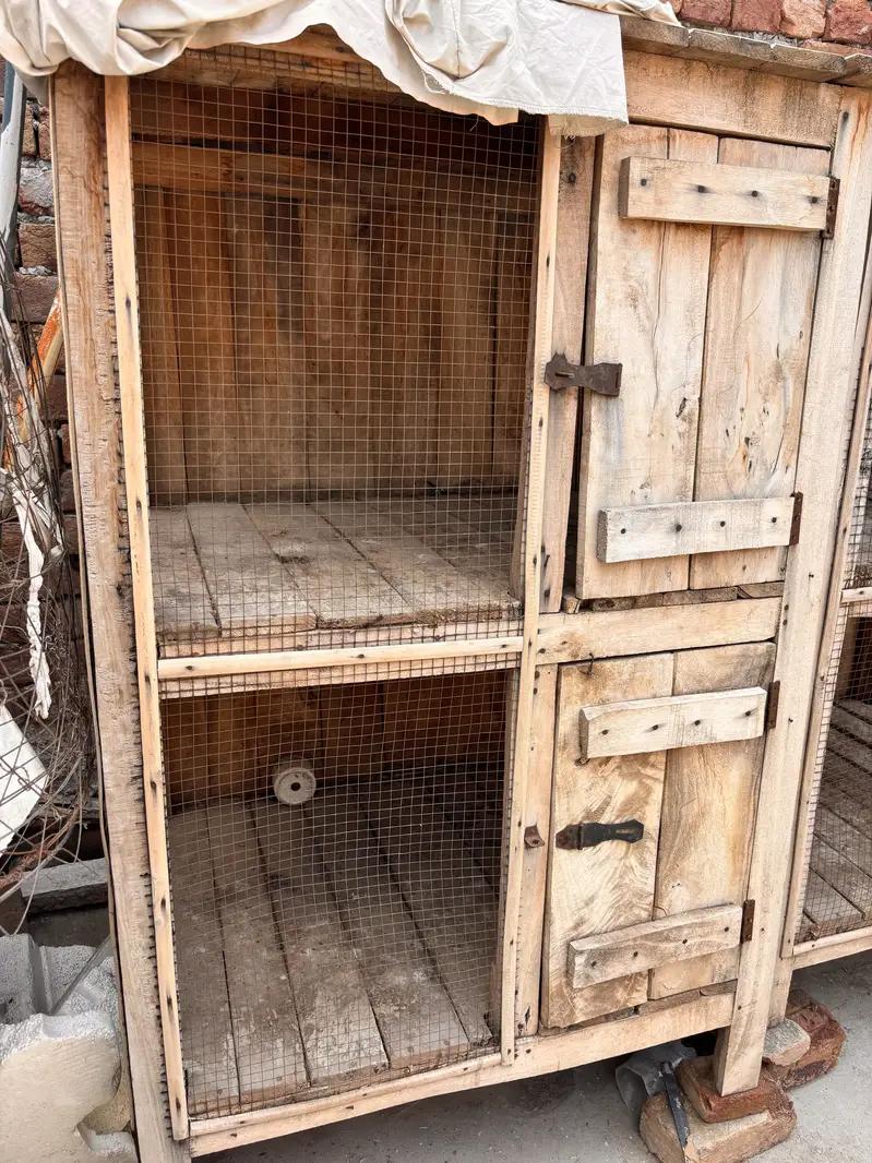 Best quality cages — photo 2