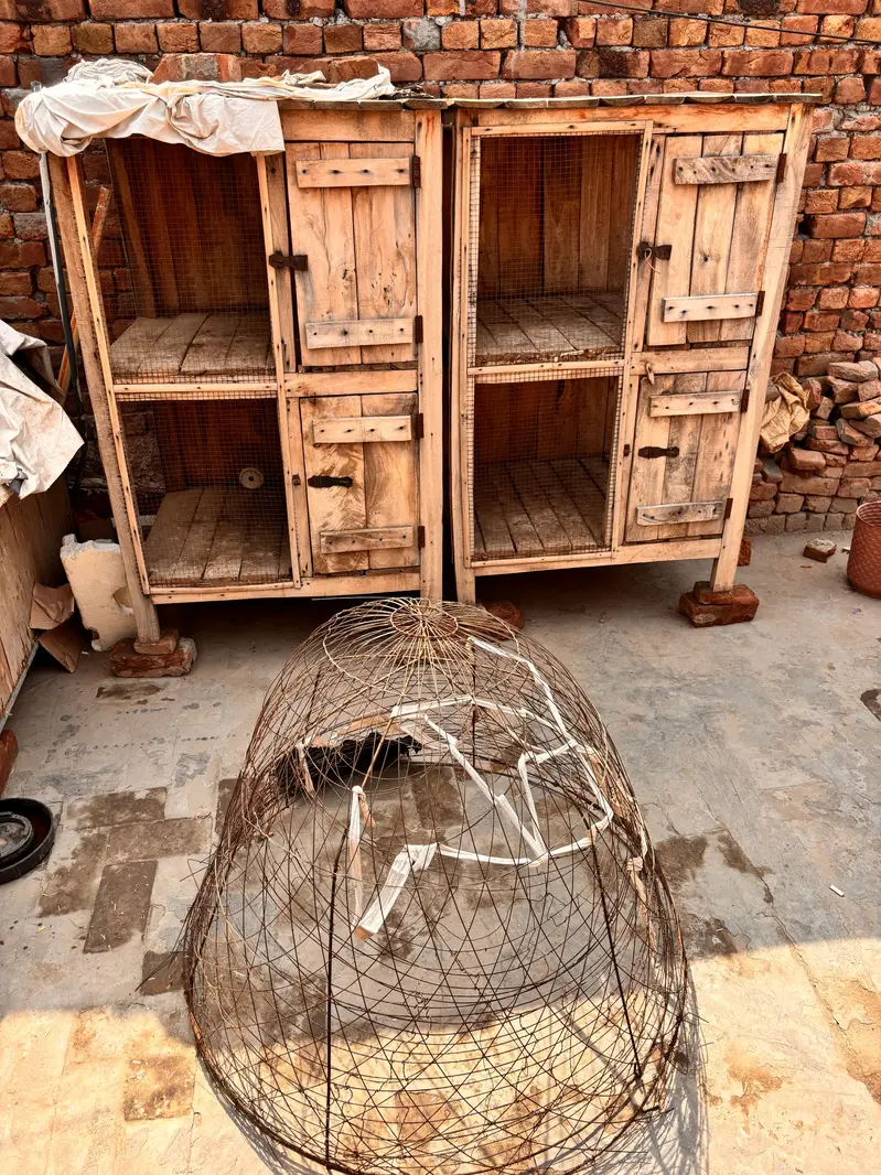 Best quality cages — photo 3