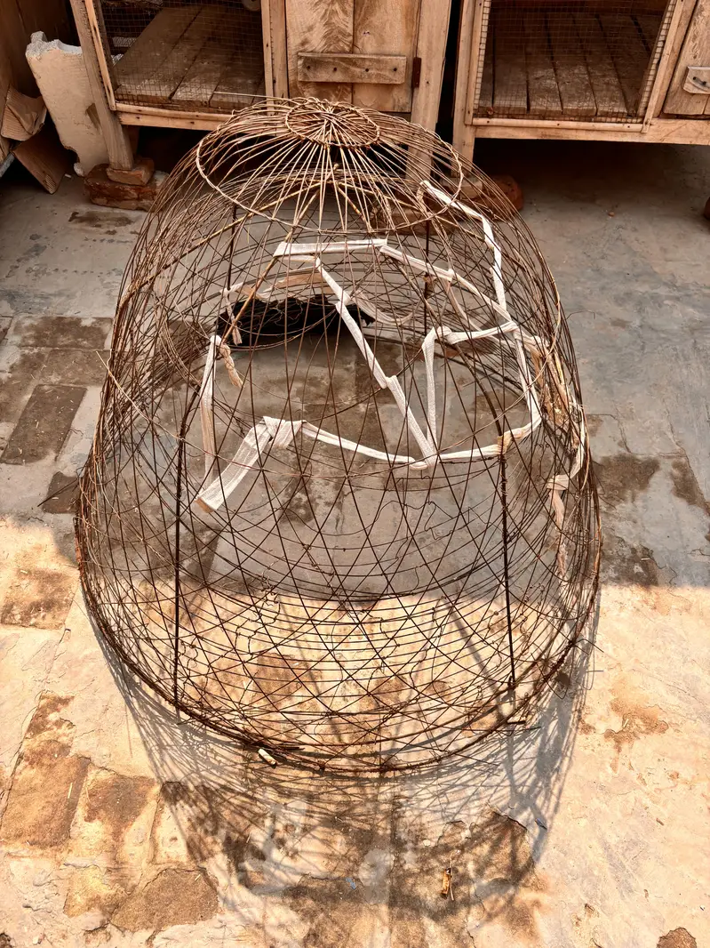 Best quality cages — photo 4