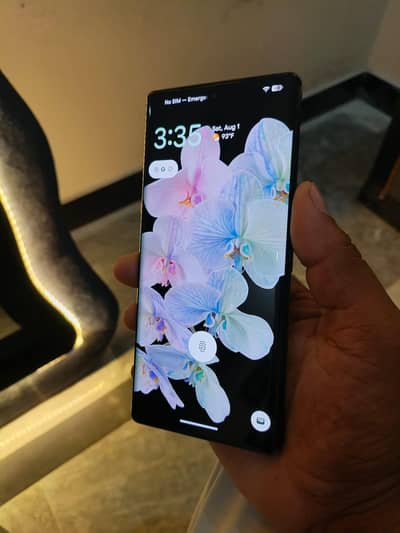 pixel 6 pro
