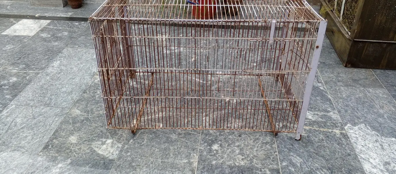 bird cage — photo 2
