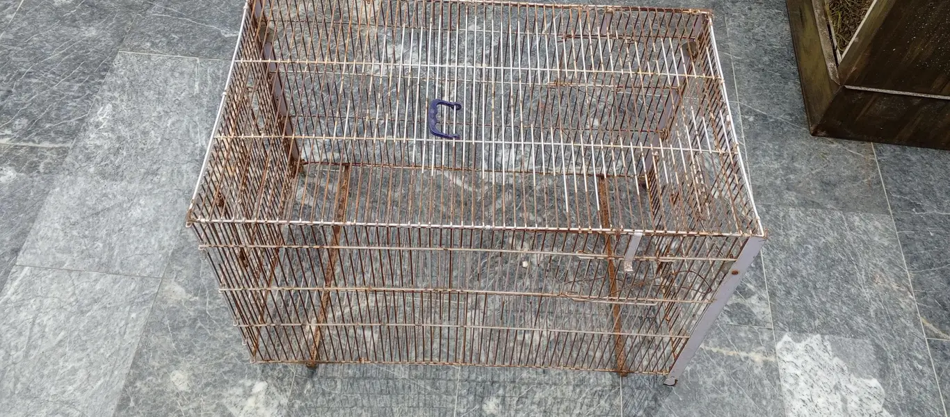 bird cage — photo 3