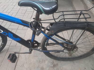 Original BEGOOD bicycle.