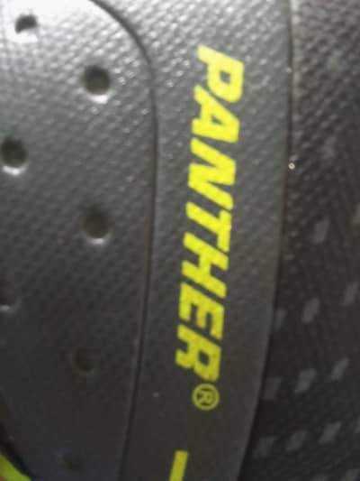 Sports shoes Panther