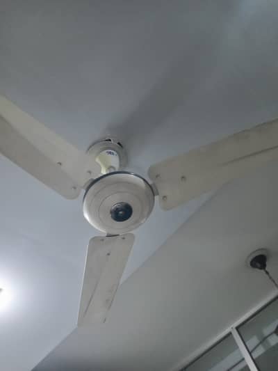 PAk FAN