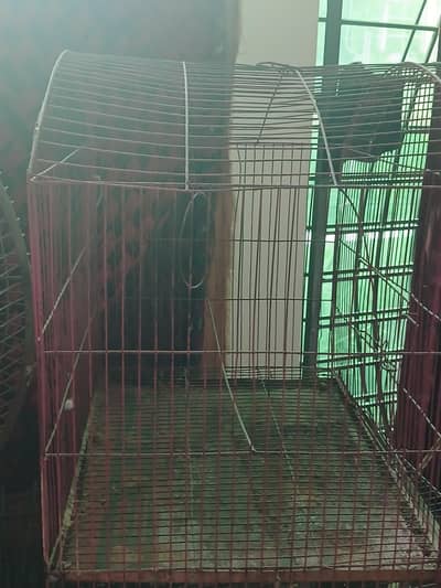 parrots cage in good condition