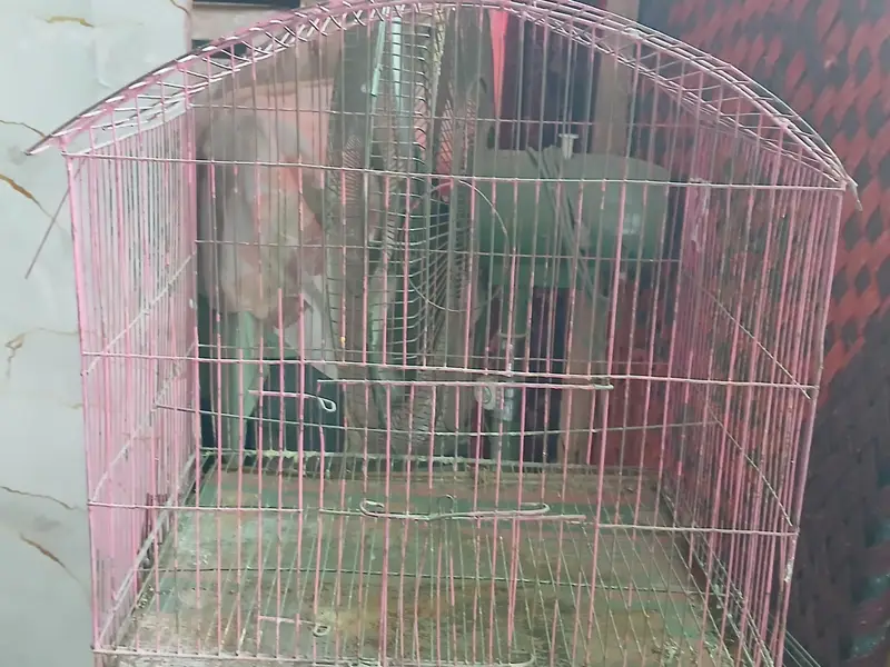 parrots cage in good condition — photo 2