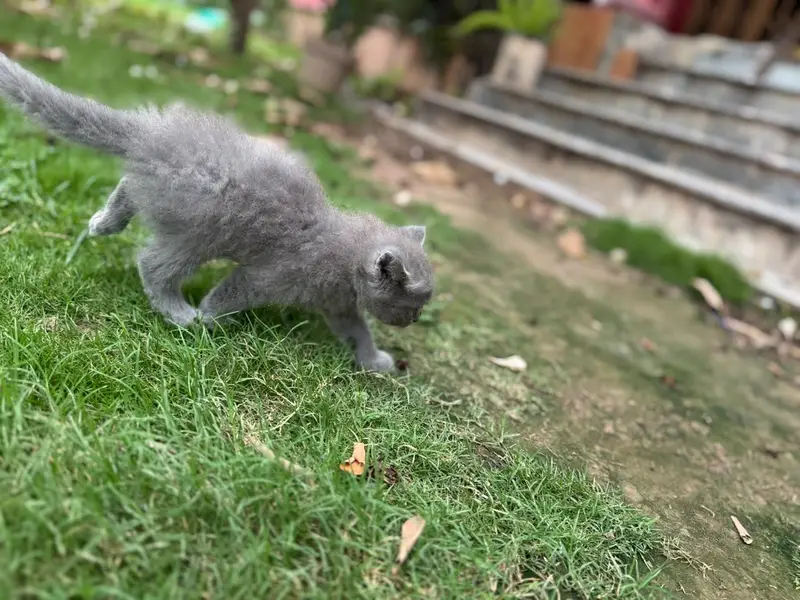 3 male babies — photo 10