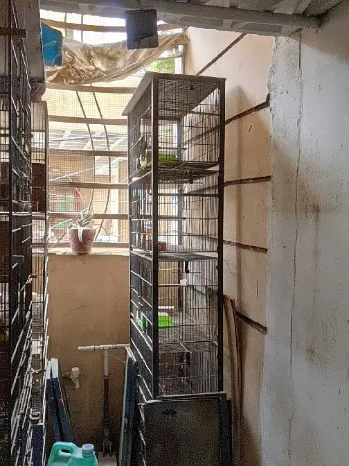 iron 4 portion cages — photo 2