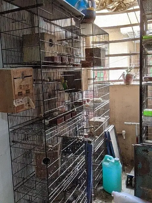 iron 4 portion cages — photo 3