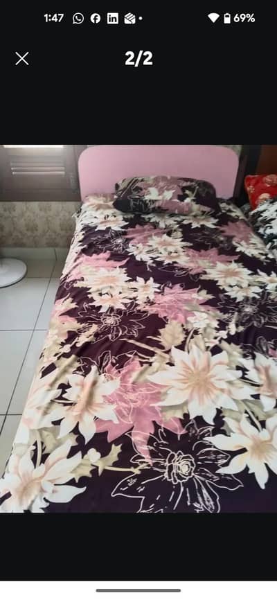 Habbit Bed Single Bed
