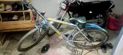 trins mtb cycle