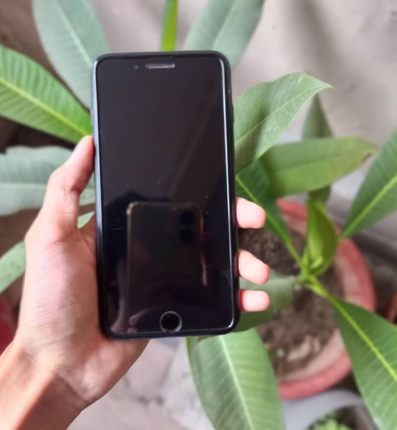 Apple iPhone 8 Plus 0