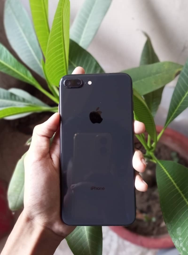 Apple iPhone 8 Plus 3